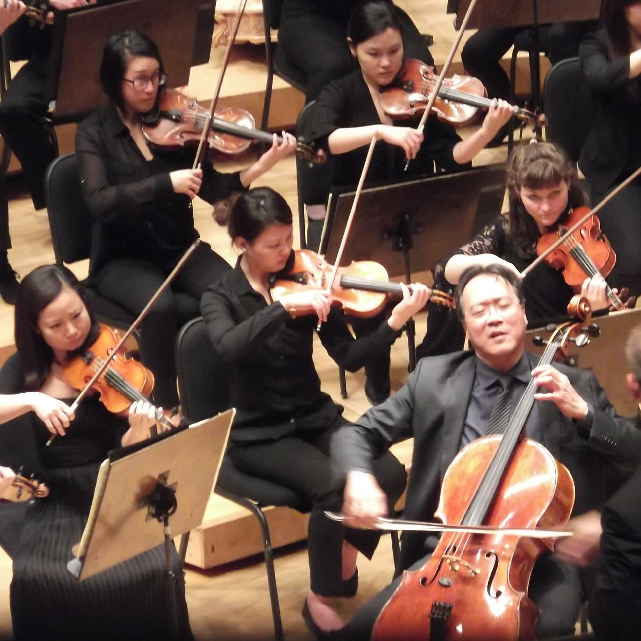 Don Quixote with Yo-Yo Ma and the Civic Orchestra of Chicago